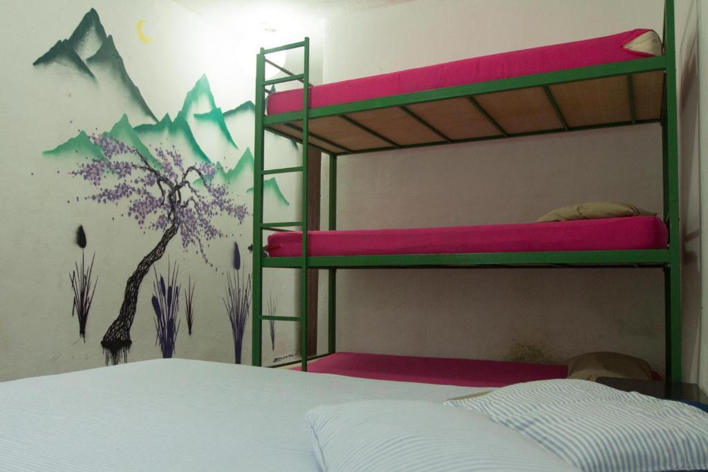 El Misti Hostel Ilha Grande Ilha Grande  Екстериор снимка