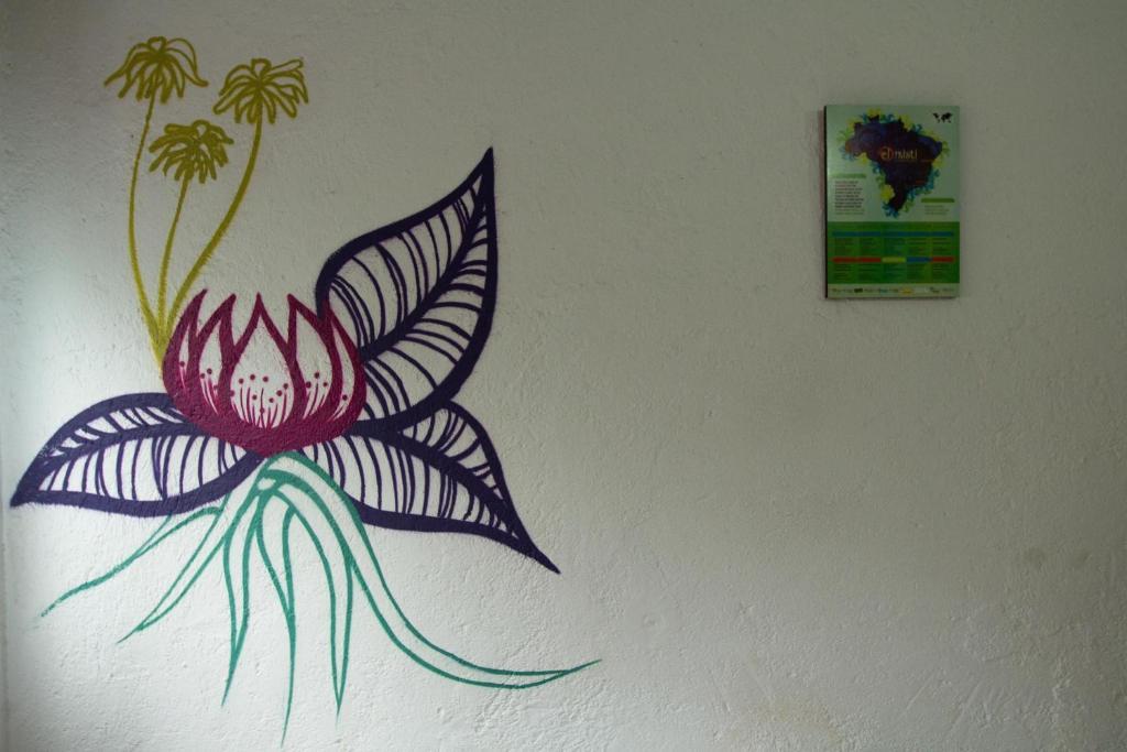 El Misti Hostel Ilha Grande Ilha Grande  Екстериор снимка